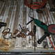 I cut the tops off of them and then ground what was left of the top down enough where I was able to smash them out with a hammer.